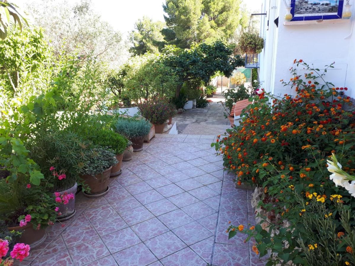 Villa Paradise Private Pool And Garden In A Natural Park For 9 خافييا المظهر الخارجي الصورة